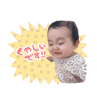 ひまわりたんスタンプ（個別スタンプ：6）
