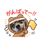 黒柴犬のごまちゃん（個別スタンプ：7）