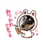 黒柴犬のごまちゃん（個別スタンプ：9）