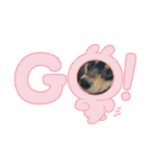 黒柴犬のごまちゃん（個別スタンプ：12）