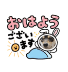 黒柴犬のごまちゃん（個別スタンプ：13）