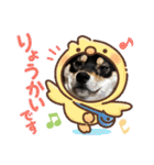 黒柴犬のごまちゃん（個別スタンプ：20）