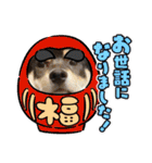 黒柴犬のごまちゃん（個別スタンプ：23）