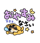 黒柴犬のごまちゃん（個別スタンプ：26）
