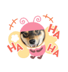 黒柴犬のごまちゃん（個別スタンプ：28）