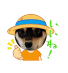 黒柴犬のごまちゃん（個別スタンプ：30）