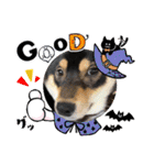 黒柴犬のごまちゃん（個別スタンプ：32）