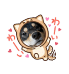黒柴犬のごまちゃん（個別スタンプ：34）