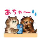 ねこタウン2（個別スタンプ：16）