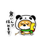 柴犬パンダ【冬】（個別スタンプ：8）