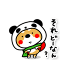 柴犬パンダ【冬】（個別スタンプ：10）