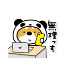 柴犬パンダ【冬】（個別スタンプ：11）