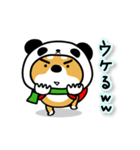 柴犬パンダ【冬】（個別スタンプ：13）