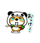 柴犬パンダ【冬】（個別スタンプ：16）