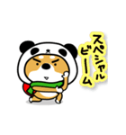 柴犬パンダ【冬】（個別スタンプ：24）