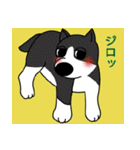 つぶやく犬たち（個別スタンプ：38）