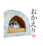 しあうたと仲間2（個別スタンプ：9）