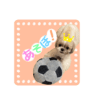 くぅたまスタンプ（個別スタンプ：8）