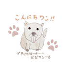 お絵描きLINEスタンプ（個別スタンプ：11）