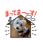 天使になったcoco part2（個別スタンプ：2）