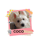 天使になったcoco part2（個別スタンプ：10）