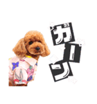 ぽぽちゃん*（個別スタンプ：20）