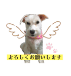 マチューのベストライフ第1弾（個別スタンプ：2）