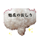 マチューのベストライフ第1弾（個別スタンプ：5）
