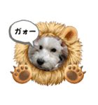マチューのベストライフ第1弾（個別スタンプ：6）
