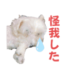 マチューのベストライフ第1弾（個別スタンプ：14）