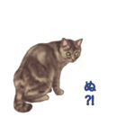 N町の猫たち（個別スタンプ：5）