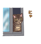 N町の猫たち（個別スタンプ：14）