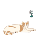 N町の猫たち（個別スタンプ：19）