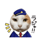 野良猫からペットまで（個別スタンプ：22）