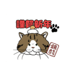 保護猫【鏡 もち彦】（個別スタンプ：1）