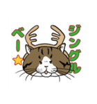 保護猫【鏡 もち彦】（個別スタンプ：3）