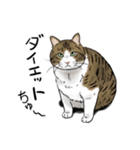 保護猫【鏡 もち彦】（個別スタンプ：7）