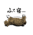 保護猫【鏡 もち彦】（個別スタンプ：8）