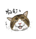 保護猫【鏡 もち彦】（個別スタンプ：9）