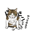 保護猫【鏡 もち彦】（個別スタンプ：10）