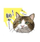 保護猫【鏡 もち彦】（個別スタンプ：11）