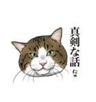 保護猫【鏡 もち彦】（個別スタンプ：12）