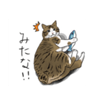 保護猫【鏡 もち彦】（個別スタンプ：18）