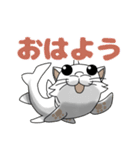 フカねこ（個別スタンプ：3）