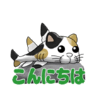 フカねこ（個別スタンプ：4）