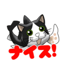 フカねこ（個別スタンプ：12）