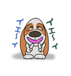 バセットハウンド(犬) 46（個別スタンプ：17）