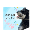 アーニャ号の日常（個別スタンプ：3）