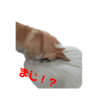 アルの楽しい毎日（個別スタンプ：5）