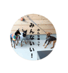たんこぶと愉快な仲間たち（個別スタンプ：10）